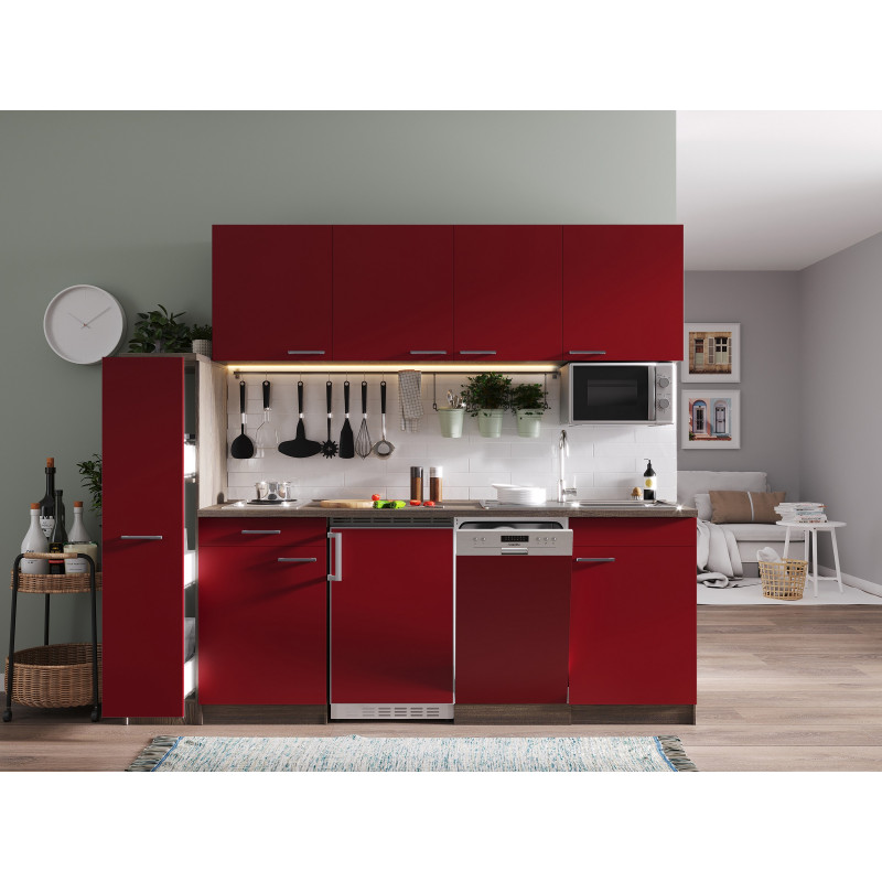 V10 - Singleküche Küchenzeile 225cm Eiche York rot